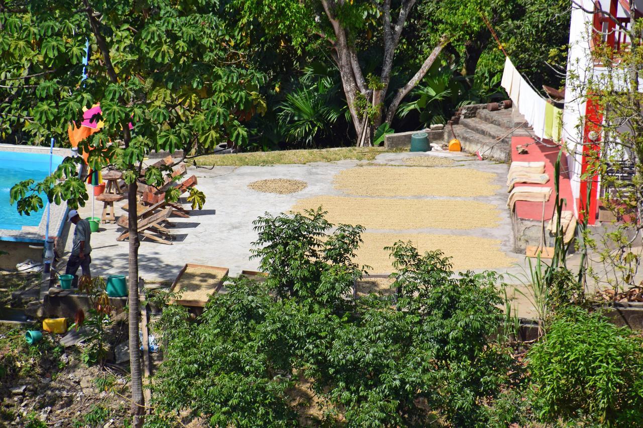 Finca San Rafael - Cafe Y Cacao Minca Exterior photo